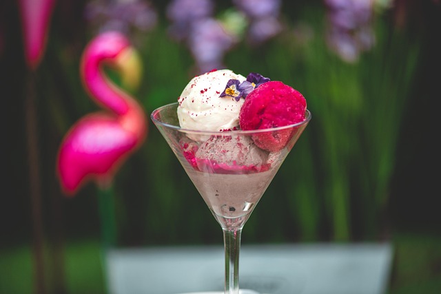 Free Ice Cream Glass photo and picture