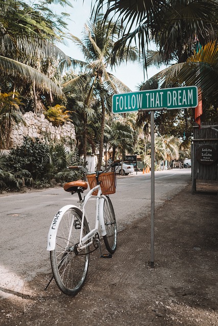 Free Bicycle Bike photo and picture
