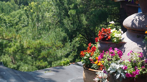 Free Flowers Planter illustration and picture