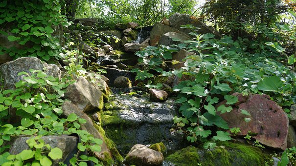 Free Waterfall Stream illustration and picture