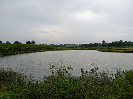 Free Nature Lake photo and picture