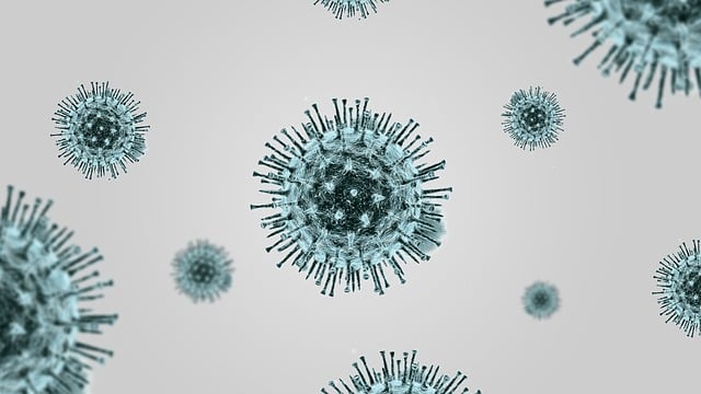 Free coronavirus covid-19 virus illustration