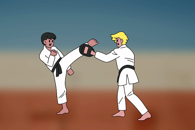 Karatê, Artes Marciais, Sparring