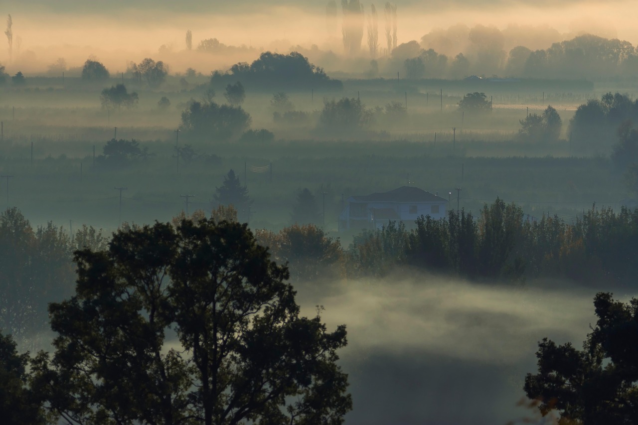 Nature - free online jigsaw puzzle photo