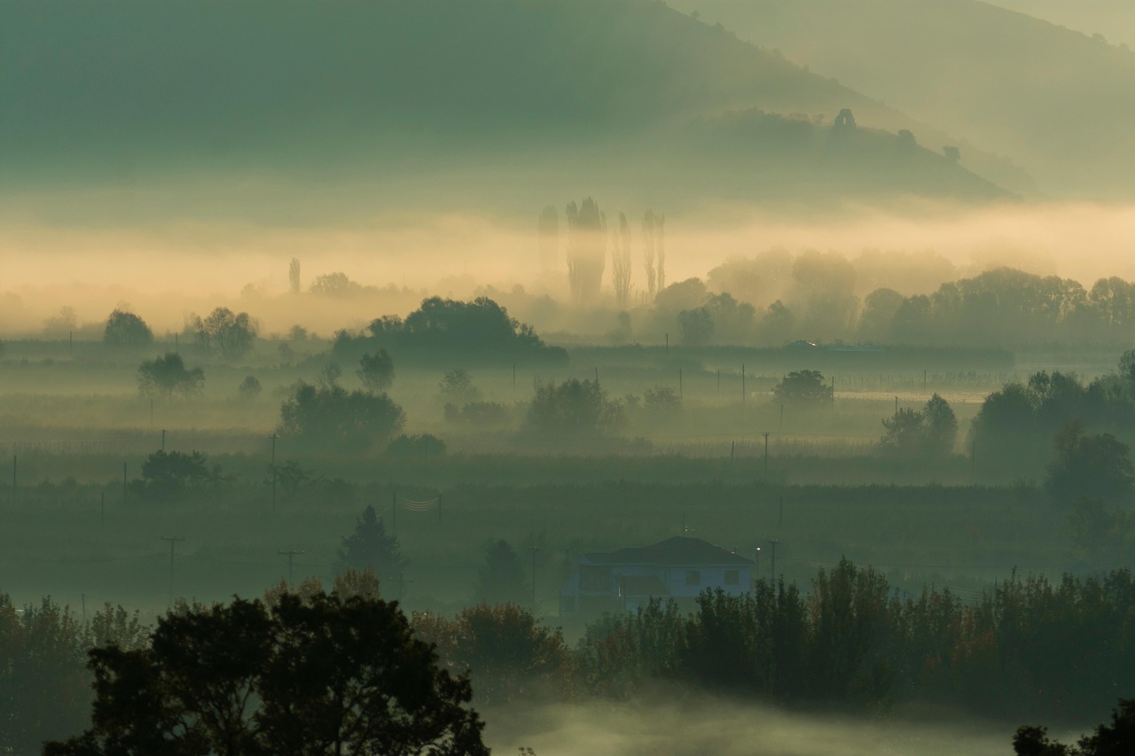 Nature - free online jigsaw puzzle photo