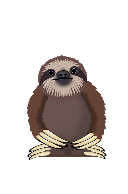 Faultier, Tier, Tierwelt, Säugetier