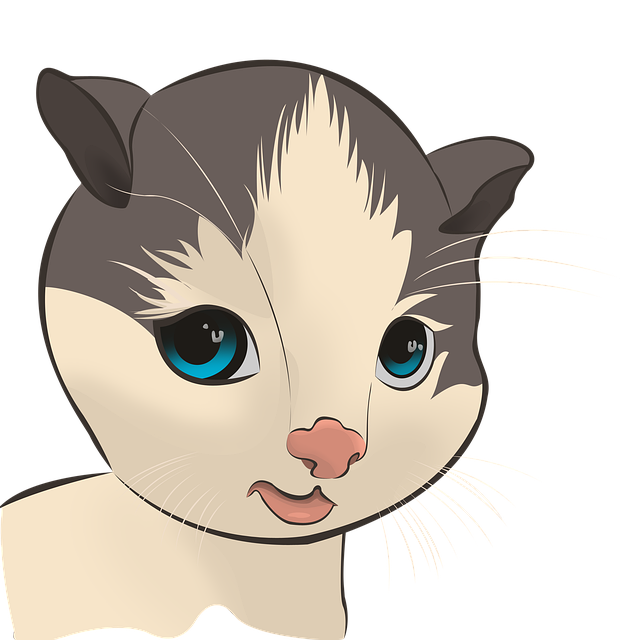 Kat, Killing, Kæledyr, Ung Kat, Dyr