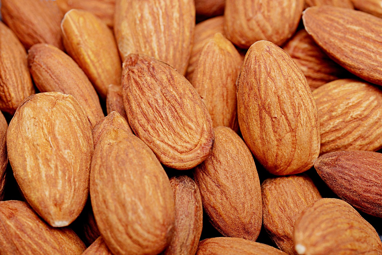 Almonds Nuts Protein Free photo on Pixabay Pixabay