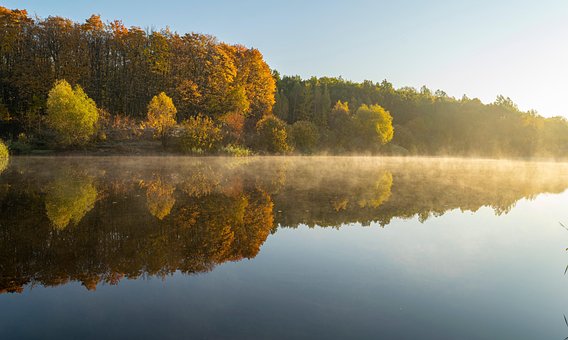 Free Pond Forest photo and picture