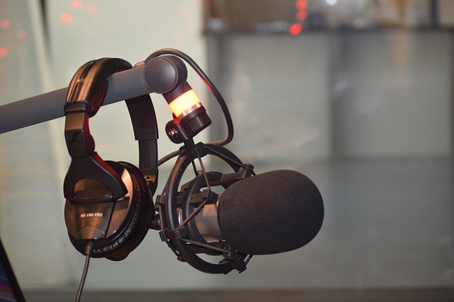 Free Headphones Microphone photo and picture