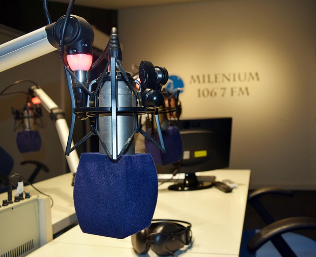 Free Radio Microphone photo and picture