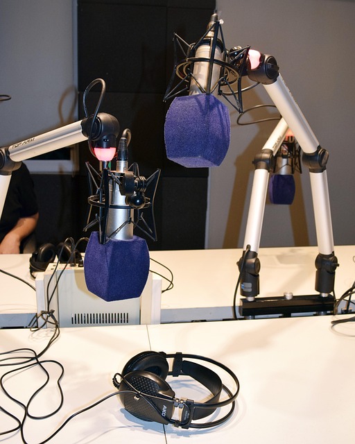 Free Radio Microphone photo and picture