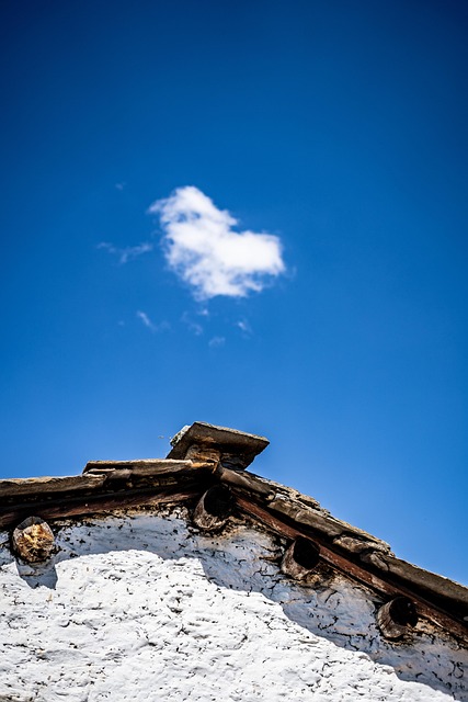 Free Roof Sky photo and picture