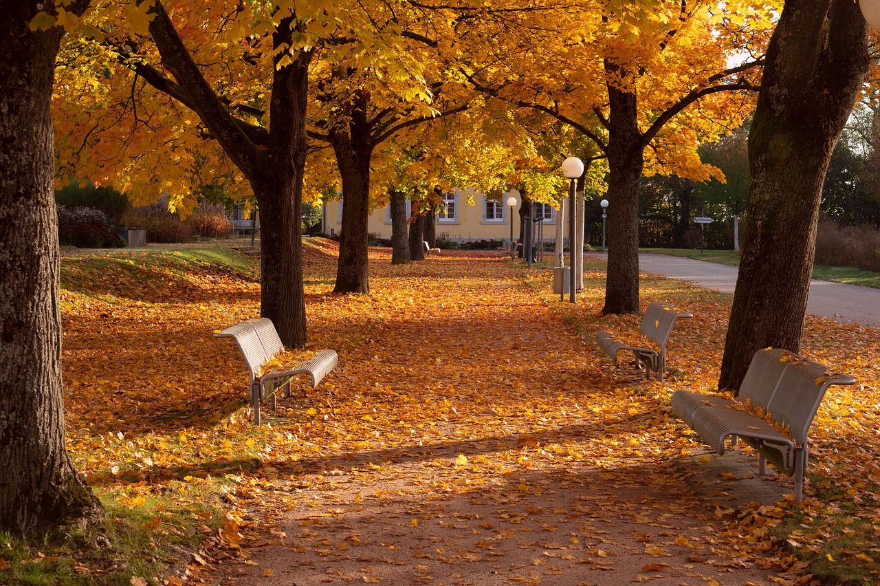 Fall Nature Landscape - Free photo on Pixabay - Pixabay