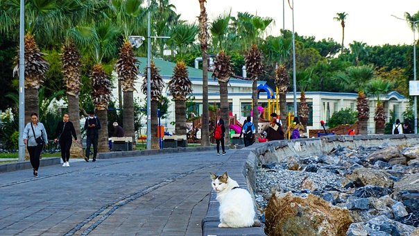 Free Beach Sea photo and picture