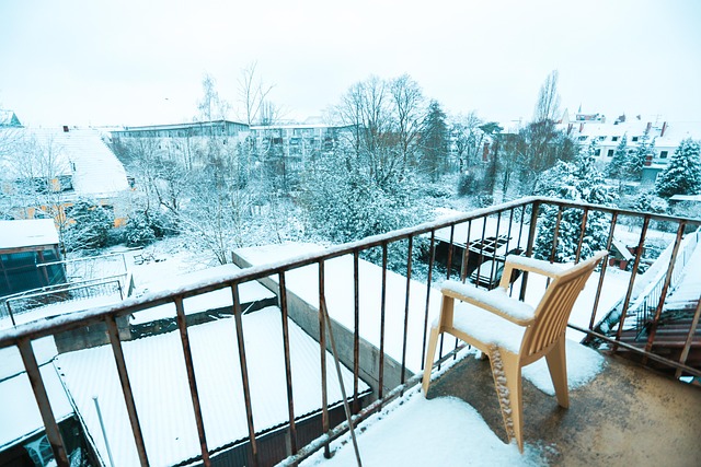 Free Snow Winter photo and picture