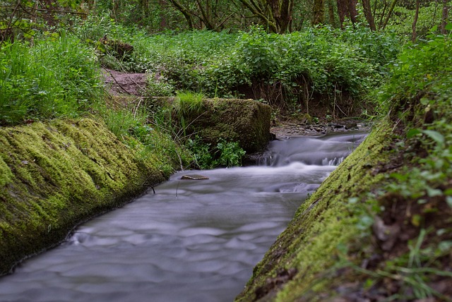Free Stream River photo and picture