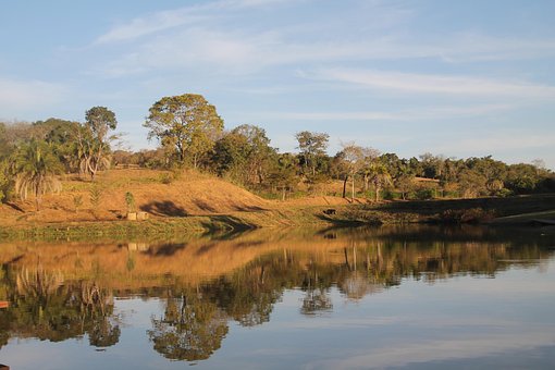 Elv, Skog, Natur, Landskap, Panorama