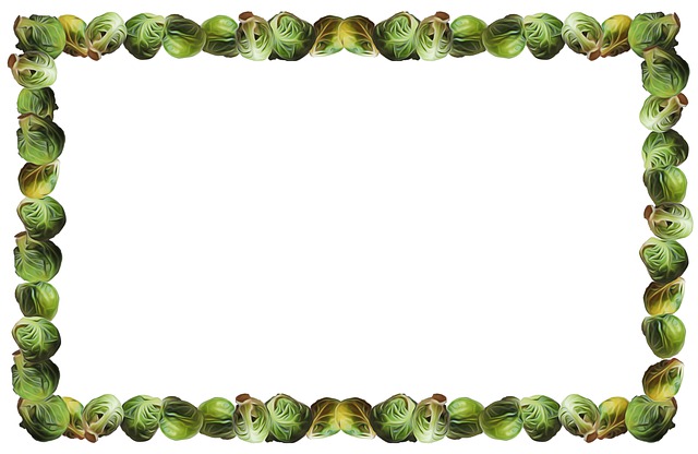 Free brussels sprouts vegetables veggies illustration
