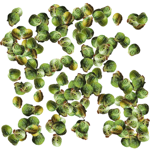 Free brussels sprouts vegetables veggies illustration