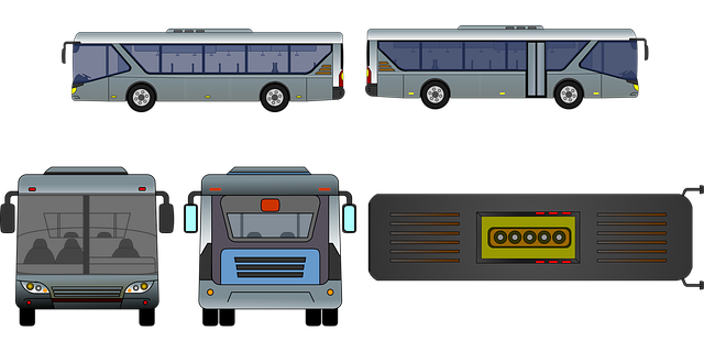 Free buses vehicles transportation illustration
