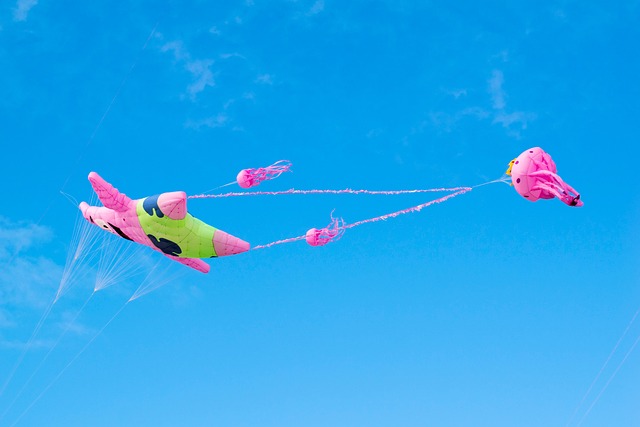 Free Kite Spongebob photo and picture