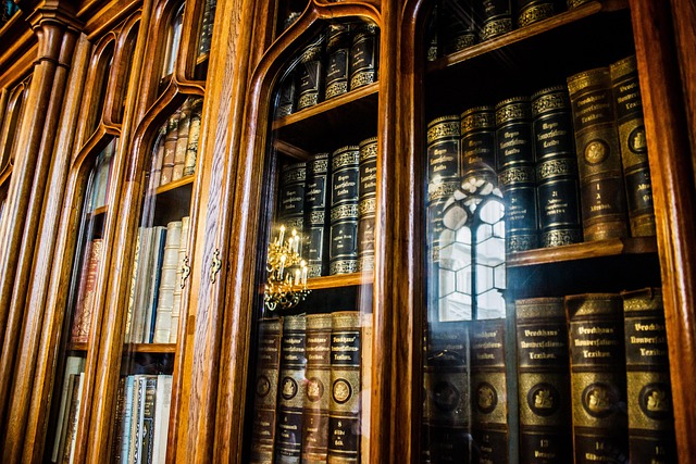 Bibliotek, Litteratur, Bøger