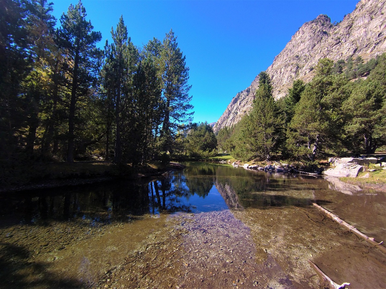 Río Agua Árboles - Foto gratis en Pixabay