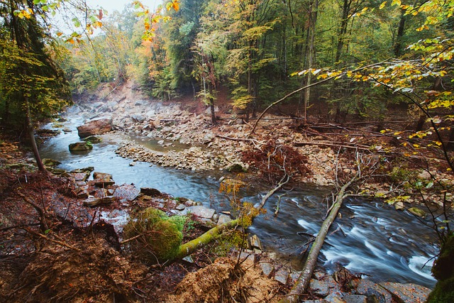 Herfstbladeren, Landschap