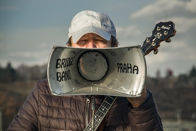 musician, banjo, singer, cap, man, banjo, banjo, banjo, banjo, banjo