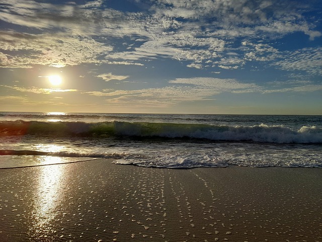 Free Sea Beach photo and picture
