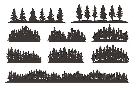 Free Forest Trees photo and picture