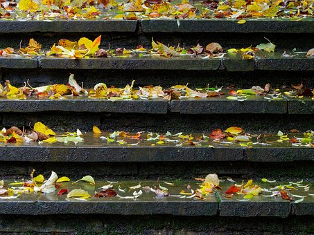 Free Steps Stairs photo and picture
