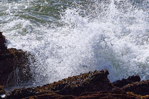 Free Nature Sea photo and picture