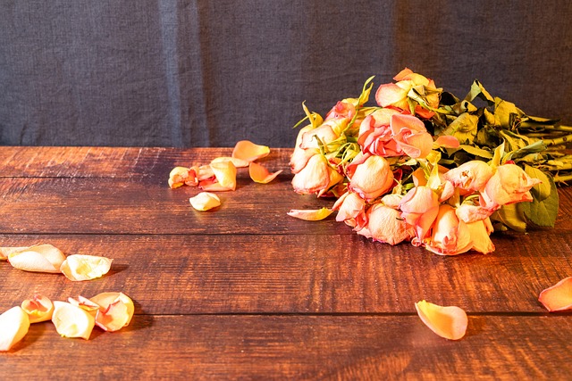 Free Flowers Roses photo and picture