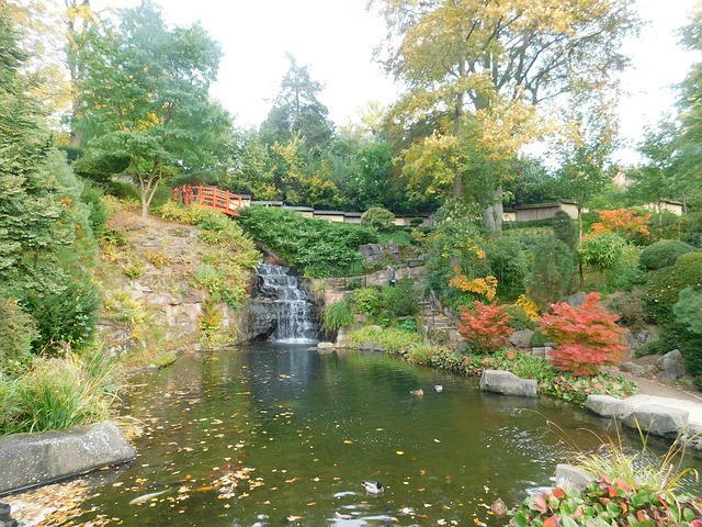 Japanese Garden Kaiserslautern Free photo on Pixabay Pixabay