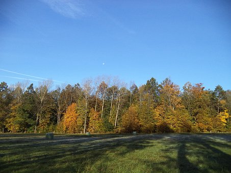 Free Autumn Moon photo and picture