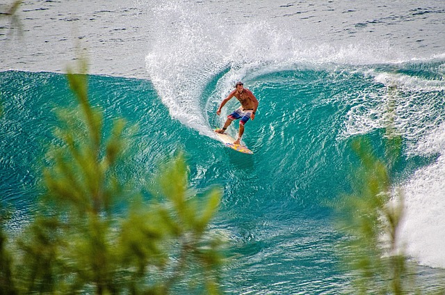 Free Surfer Surf photo and picture