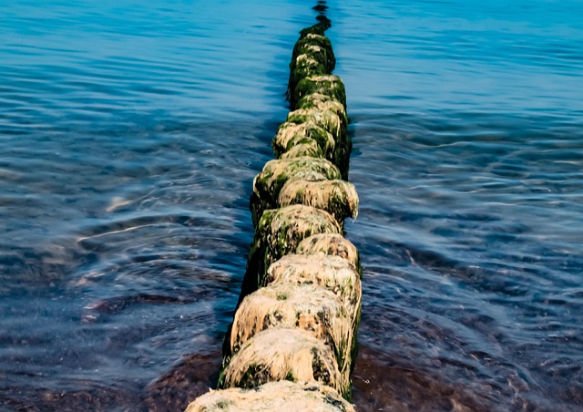 Free Water Sea photo and picture