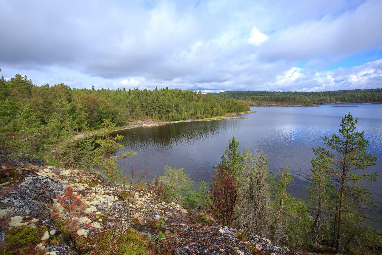 Ladoga Water Lake Free photo on Pixabay Pixabay