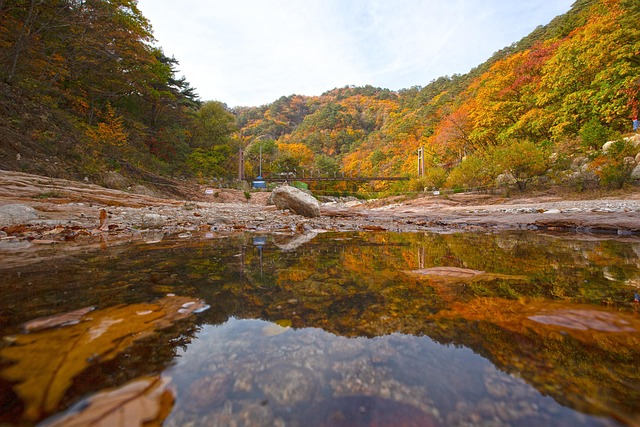 Free Lake Pond photo and picture