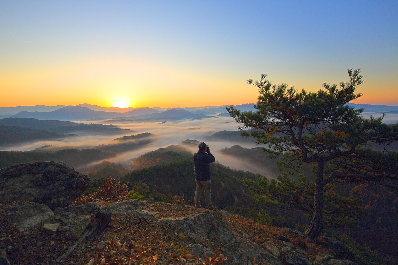 Nature - free online jigsaw puzzle photo