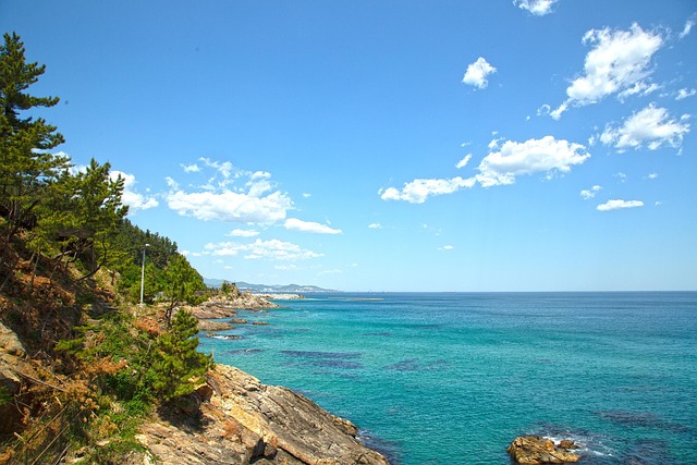 Free Ocean Sea photo and picture