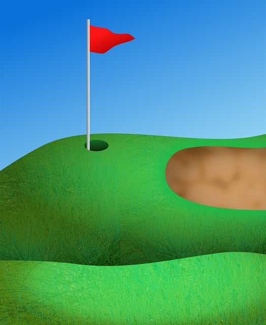 Free sport golf flag illustration