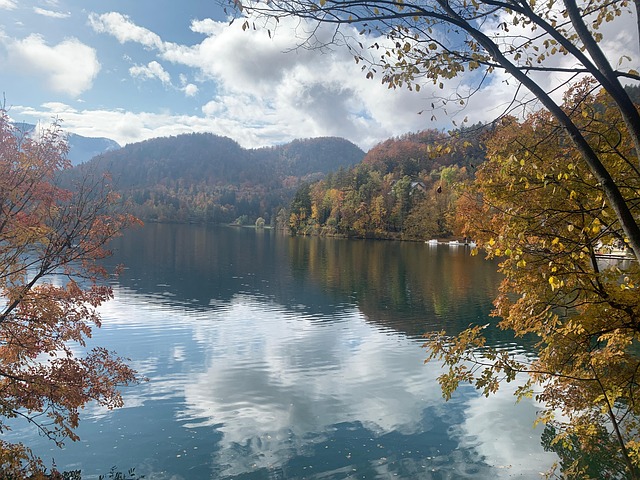 Free Lake Trees photo and picture