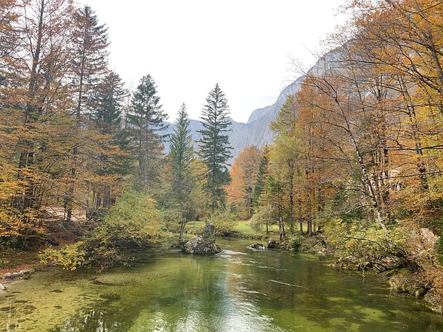 Free River Reflections photo and picture