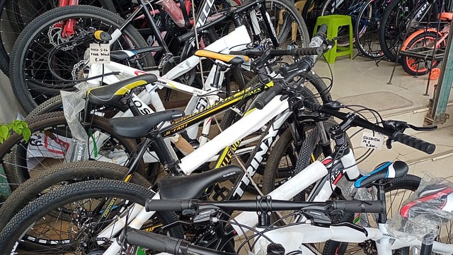 Free Bicycle Bike illustration and picture