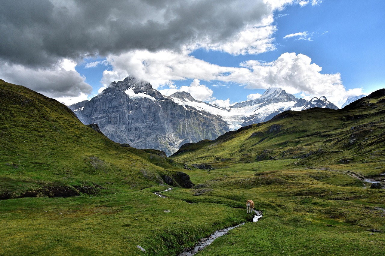 Nature - free online jigsaw puzzle photo