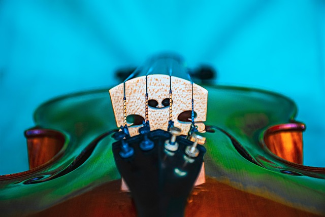 Free Violin Strings photo and picture