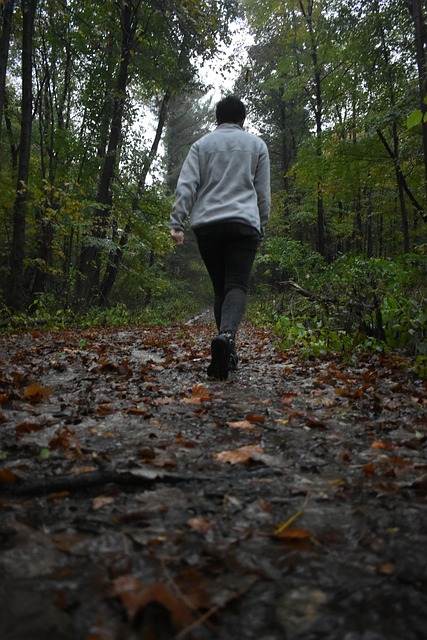 Free Hiking Forest photo and picture